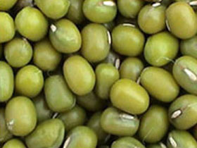 Green moong beans, Application : Cooking