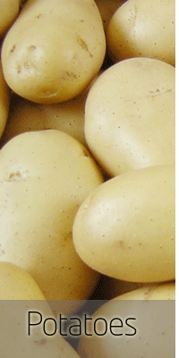 Potato, Packaging Size : 5-25kg