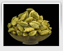 Cardamom