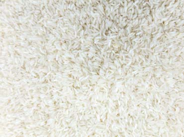 Polished Long Grain White Rice, Bag Type : 25 KG for Cooking
