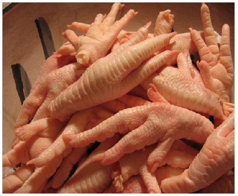 Chicken Feet, Certification : HACCP, HALAL, Packaging Type : box
