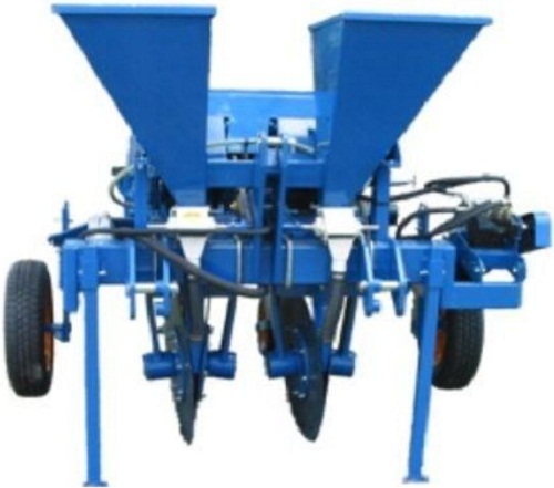 Sugar Cane Wholestick Planter