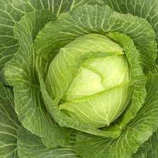 Fresh cabbage, Use : Use in Cooking