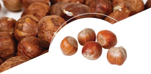 Hazelnuts