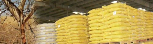 Sudan White Natural Sesame Seeds