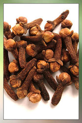 Cloves