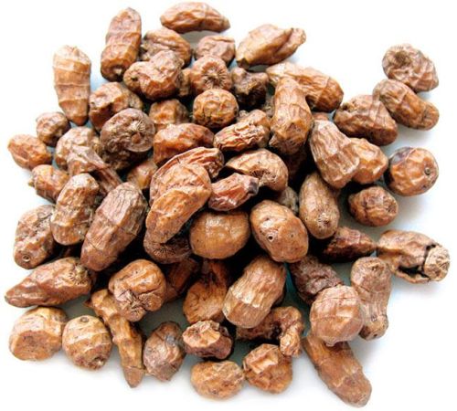 Tiger Nut