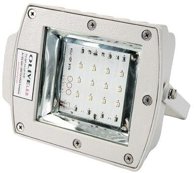 LED Flood Light