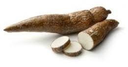 Fresh Cassava
