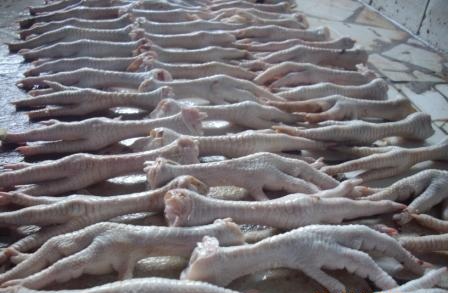 Frozen chicken feet, Brand Name : Jordan