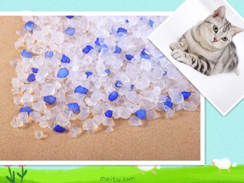 Silica Cat Litter, Packaging Type : white+ color