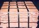 Copper cathodes, Type : Copper Cathodes