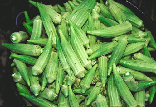 Fresh Okra
