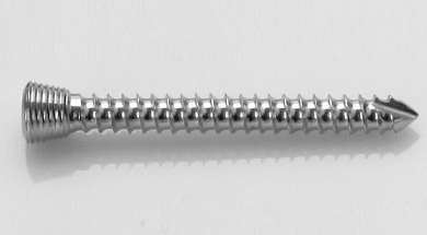 Lock Screw (3.5 Mm)