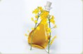 Rapeseed Oil, Canola Oil, Brand Name : TGT, Certification : ISO