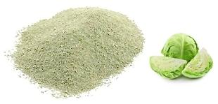 Cabbage Powder