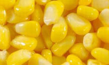 Maize