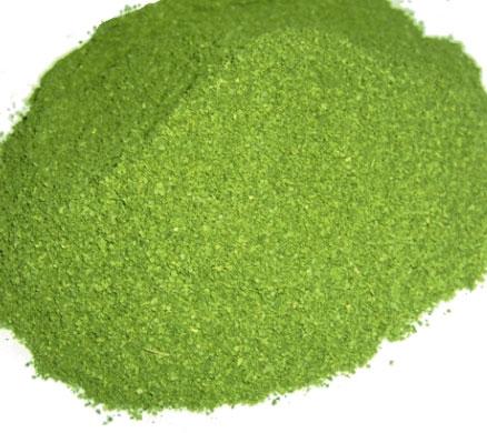 Moringa Powder