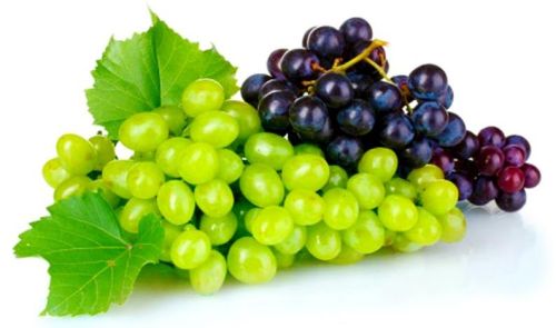 Fresh Grapes