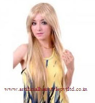 Synthetic and Kanekalon Hair Wig