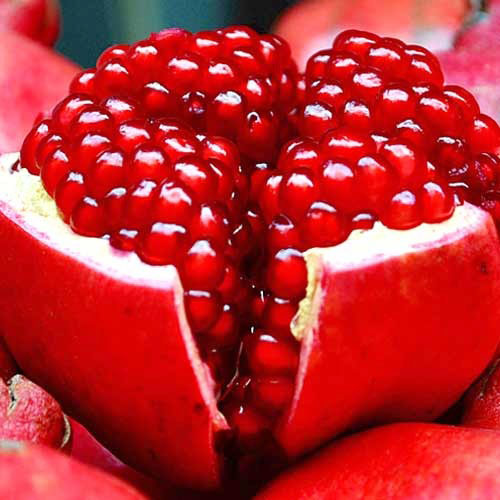 Fresh Pomegranate