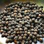 Black Pepper Seeds