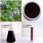 Bilberry Extract, Anthocyanidins Powder