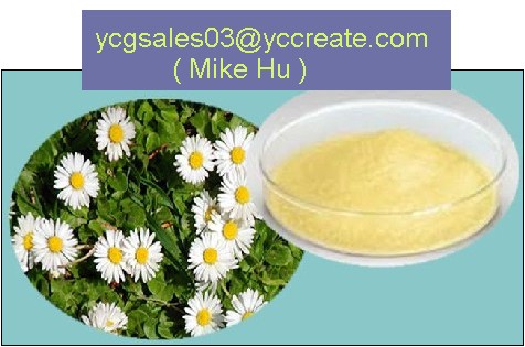 Chamomile Extract, Apigenin