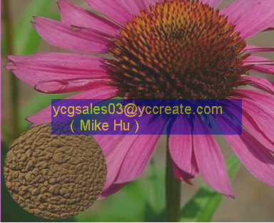 Echinacea Purpurea Extract