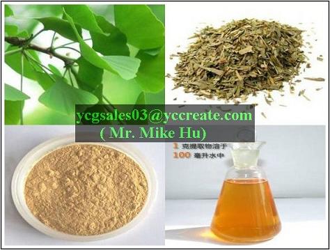 Ginkgo Biloba Extract