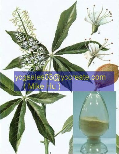 Horse Chestnut Extract