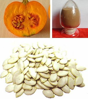 Pumpkin Seed Extract