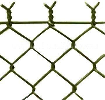 Galvanized PVC Chain Link Mesh