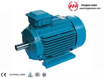Three Phase Induction Motor