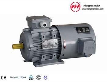 Electric motor, Brand Name : hongma