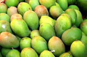 Raw Mangoes