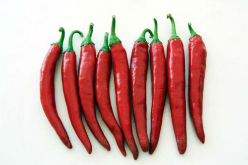 Fresh Indian Red Chilli, Frozen Indian Red Chilli