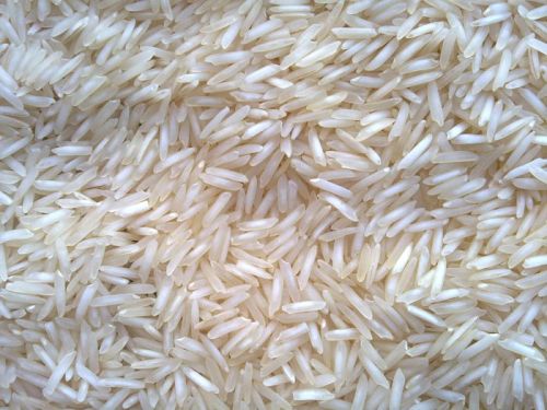 Basmati rice, Cultivation Type :Common