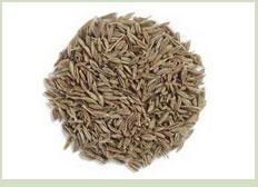 Cumin seeds, Type :Natural