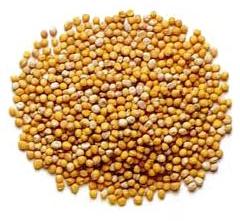 Mustard seeds, Shelf Life : Up To 2 Years When Stored Properly.