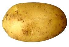 Potato, Packaging Size : 5-25kg