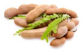 Tamarind Pods, Shelf Life : 3 Months