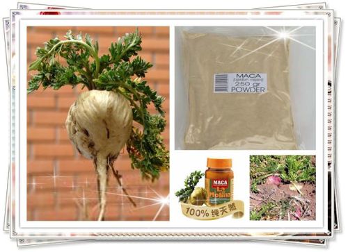Maca Extract
