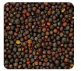 Organic Mustard Seeds