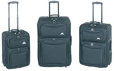 Plain Leather Travelling Trolley Bags, Shape : Rectangular