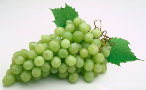 Fresh Grapes