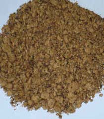 Cotton Seed Meal