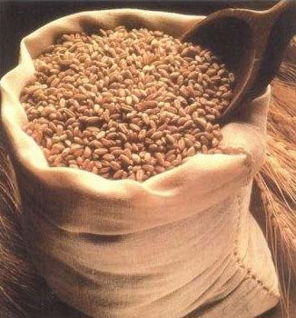 Wheat, Cultivation Type : Natural