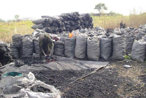 Hardwood charcoal, Moisture : 10%