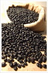 Black Bean Extract